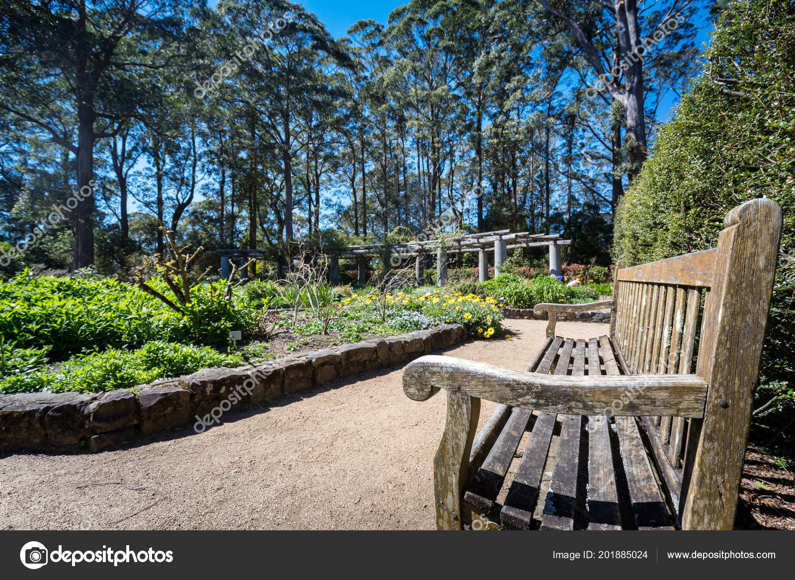 Blue Mountain Botanical Garden Australien Stockfoto C Wangsong