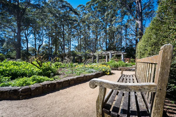 Blue Mountain Botanická Zahrada Austrálie — Stock fotografie