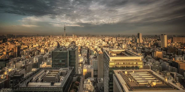 Tokio Skytree Japanisches Stadtbild — Stockfoto