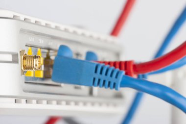 Kablosunun bağlanması ile modem yönlendirici ağ hub'u. Parlak mavi ve kırmızı kablolar ve konektörler.