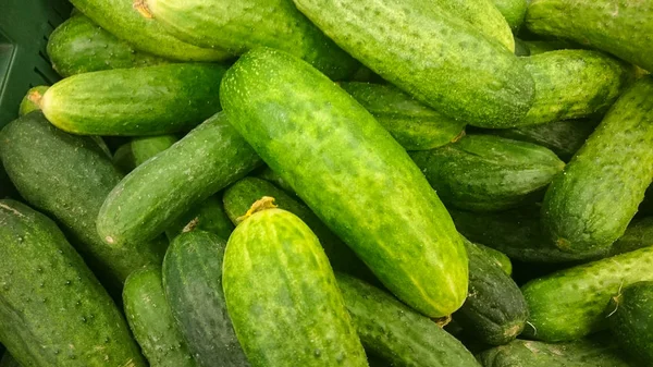 Concombres Verts Sur Étagère Dans Supermarché Manger Bio Détaillant Agricole — Photo