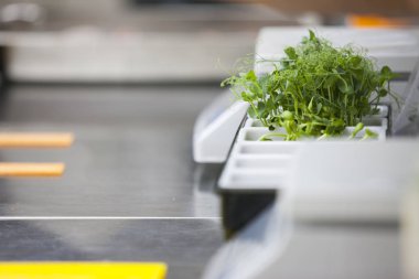 Mutfak Masa soyut resmin arka plan olarak kesme yüzeyini parçası