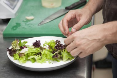 Elinde Şef Salata yeşillikleri yakın çekim hazırlanıyor