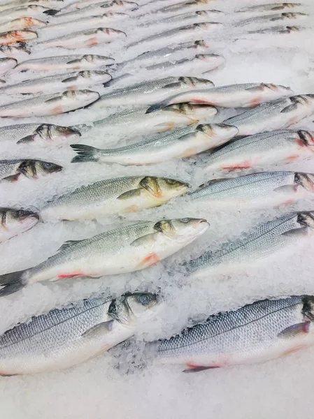 Fresh live fish on ice on open market Close-up