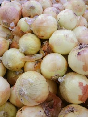 Soğan süpermarket raf yakın çekim