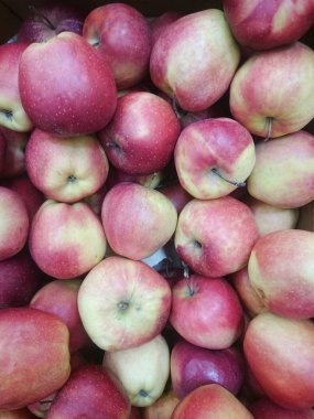 Kırmızı elma üstünde belgili tanımlık sayaç süpermarket. Yakın çekim