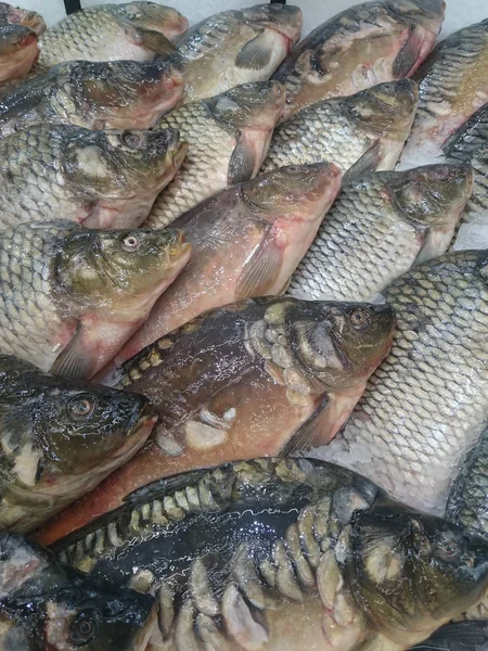 Fresh live fish on ice on open market Close-up