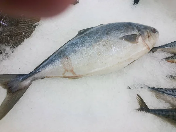 オープンな市場クローズ アップで氷の上の新鮮な活魚 — ストック写真