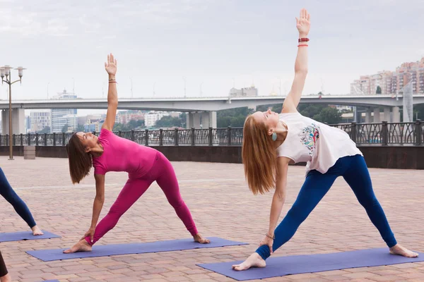 Grupo Mujeres Practicando Yoga Parque Entrenamientos Conjuntos Para Profesores Yoga — Foto de Stock