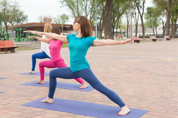 美人ヨガ クラス公園共同トレーニング ヨガ教師のためのヨガの練習の女性のグループの Virabhadrasana ポーズ — ストック写真