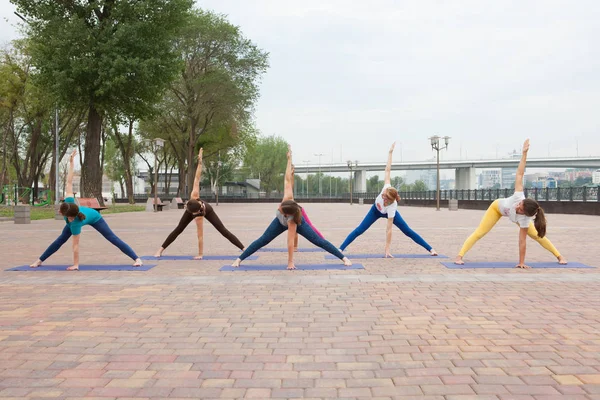 Grupo Mujeres Practicando Yoga Parque Formaciones Conjuntas Para Profesores Yoga — Foto de Stock