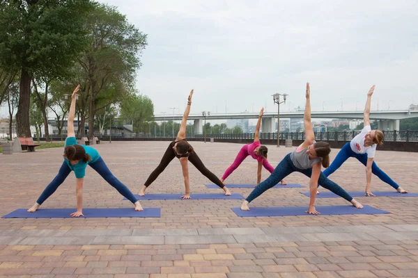 Группа Женщин Практикующих Йогу Парке Совместные Тренинги Учителей Йоги — стоковое фото
