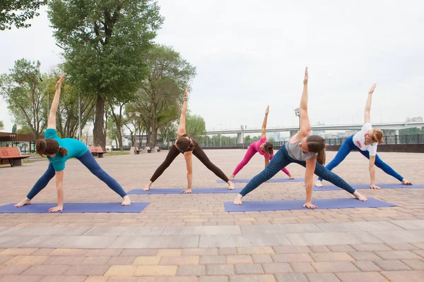 Grupo Mujeres Practicando Yoga Parque Formaciones Conjuntas Para Profesores Yoga — Foto de Stock