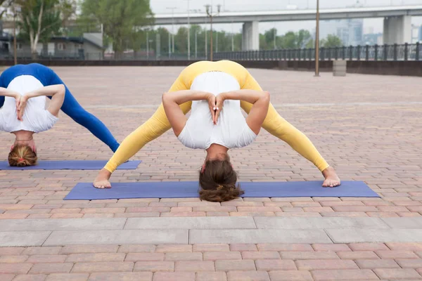 Hermosa Mujer Haciendo Vriksasana Posan Clase Yoga Grupo Mujeres Practicando — Foto de Stock