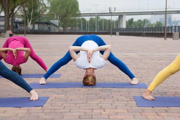 Группа Женщин Практикующих Йогу Парке Совместные Тренинги Учителей Йоги — стоковое фото