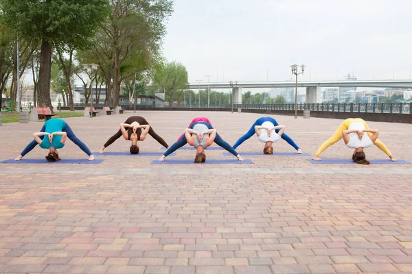 Grupo Mujeres Practicando Yoga Parque Formaciones Conjuntas Para Profesores Yoga — Foto de Stock