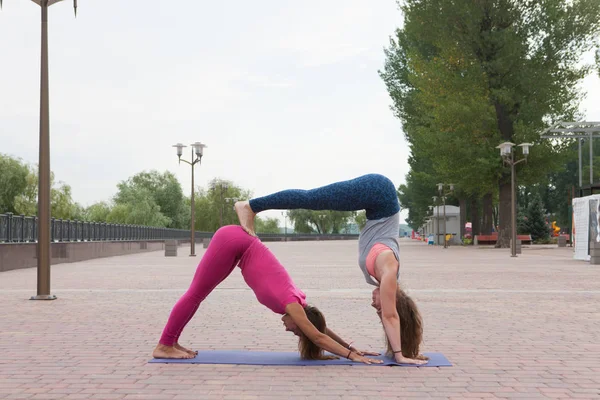 Gruppe Von Frauen Praktiziert Yoga Park Gemeinsame Trainings Für Yogalehrer — Stockfoto