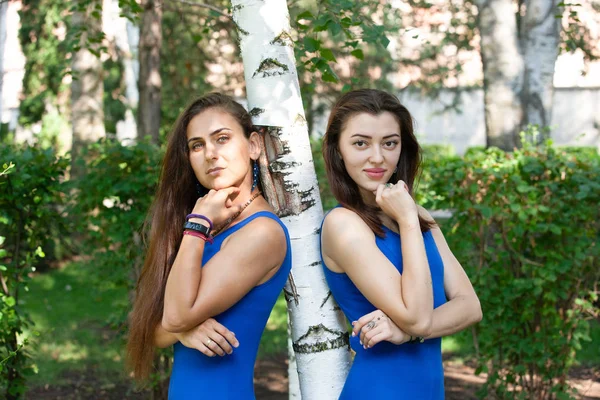 Grupo Adultos Que Asisten Una Clase Yoga Aire Libre Parque —  Fotos de Stock