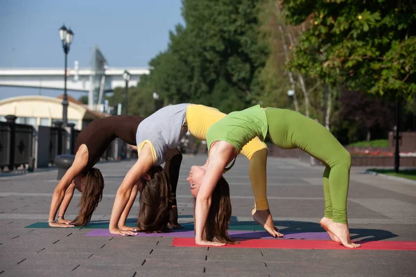 Grupo Mujeres Que Asisten Ejercicio Yoga Parque Mujer Feliz Pie — Foto de Stock