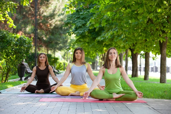 Practicar Yoga Aire Libre Practicar Yoga Con Árboles Montañas Rayos — Foto de Stock