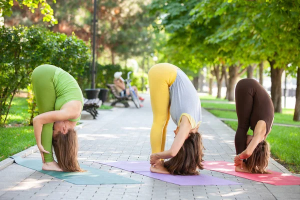 Practicar Yoga Aire Libre Practicar Yoga Con Árboles Montañas Rayos — Foto de Stock