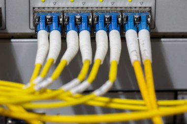 Arabirim kartı ekipman optik telekomünikasyon soyut bir arka plan yakın çekim olarak kullanmak için görüntü bulanık