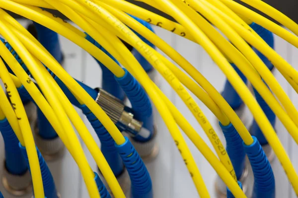 Colored electrical cables and wires Abstract blurred image for use as a background Close-up