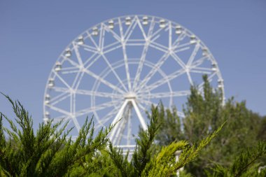 Dönme dolap ön planda, iğne yapraklılar panoramik net bir görüntü bulanık görüntü