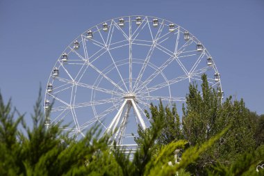 Dönme dolap mavi gökyüzü arka plan Panoramic iğne yapraklı bitkiler Keskinliği Azaltma görüntüsünü ön planda görüntülemek