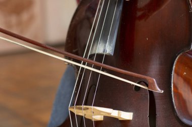 Kontrbas. Kontrbas yay müzik aleti ile. Closeup çello sınırlı derinlik-in tarla
