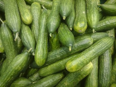 bir bakkal yakın çekim tezgahın üzerine taze salatalık