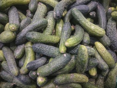 bir bakkal yakın çekim tezgahın üzerine taze salatalık