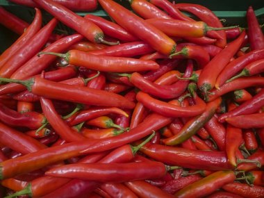 Uzun kırmızı biber stand yakın çekim