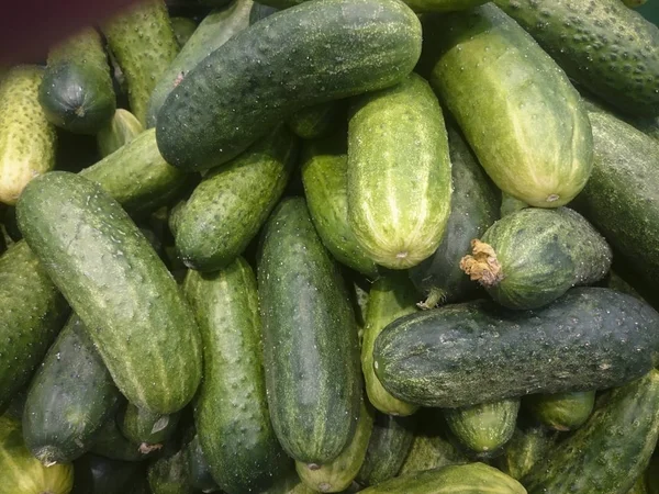 Fresh Cucumbers Counter Grocery Store Close — Stock Photo, Image