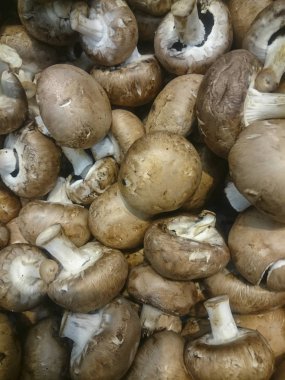 Mağaza raflarında siyah kutularda mantar şampiyonları. Süpermarketin sebze bölümü, beyaz Paris mantarları, kestane mantarı. Yakın plan.