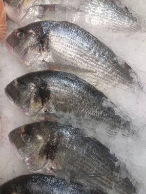 Taze soğutulmuş balık buz üzerinde yalan. Yakın çekim deposundaki taze balık