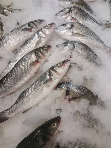 Fresh chilled fish lying on the ice. Fresh fish in the store Close-up