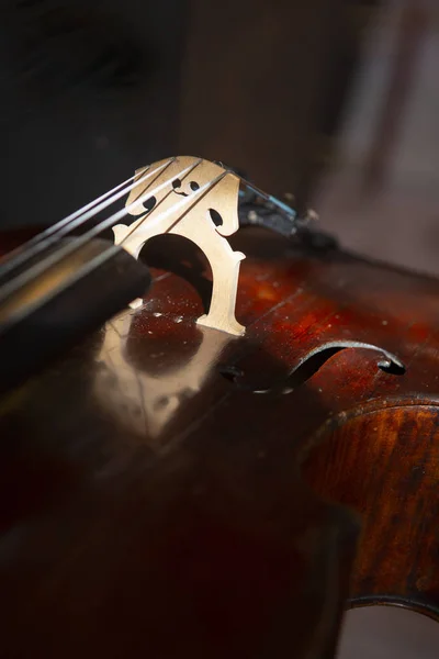 Geige Vintage Stil Auf Holzgrund Nahaufnahme Konzert Mit Klassischer Musik — Stockfoto
