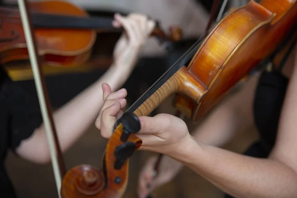 Ragazza Che Suona Violino Mano Una Ragazza Violino Ritratto Ravvicinato — Foto Stock