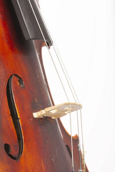 Violin Close Isolated White Background Limited Depth Field — Stock Photo, Image