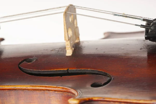 Violin Close Isolated White Background Limited Depth Field — Stock Photo, Image