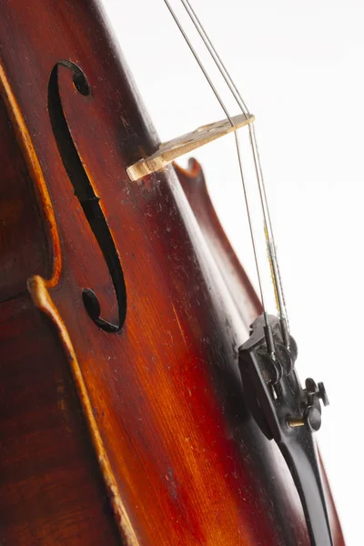 Violin Close Isolated White Background Limited Depth Field — Stock Photo, Image