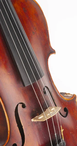 Violin Close Isolated White Background Limited Depth Field — Stock Photo, Image