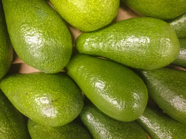 Schöne Und Frische Avocado Regal Eines Supermarktes Nahaufnahme — Stockfoto