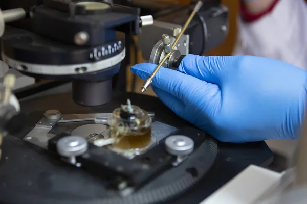 Forskare Som Arbetar Laboratoriet Närbild Begränsat Skärpedjup — Stockfoto