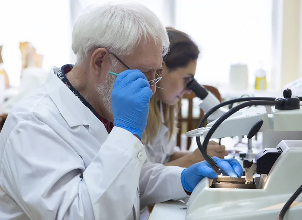 Yaşam Bilimi Laboratuvarında Çalışan Sağlık Araştırmacıları Araştırma Laboratuarında Mikroskop Hazırlayan — Stok fotoğraf