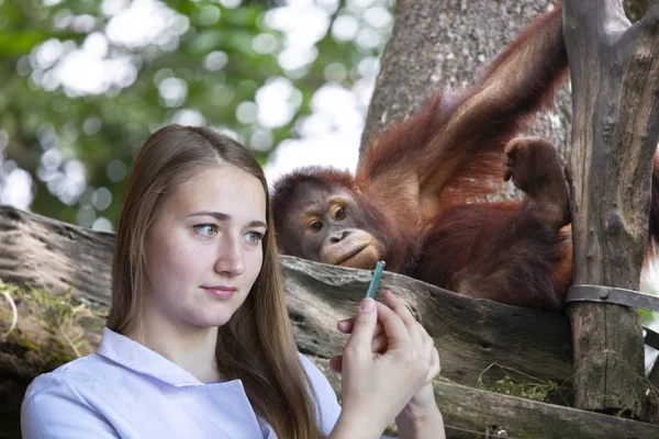 Veterinaria Joven Preparándose Para Examen Cachorro Orangután Retrato —  Fotos de Stock