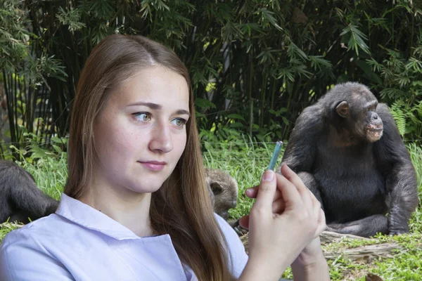 Joven Veterinaria Fondo Familia Chimpancé Retrato —  Fotos de Stock