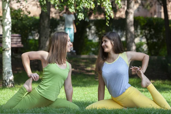 肖像画の公園でヨガを行う若い女性のグループ — ストック写真