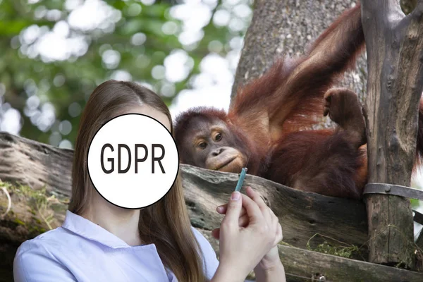 Gdpr Mujer Joven Veterinaria Examina Los Animales Cara Está Oculta — Foto de Stock